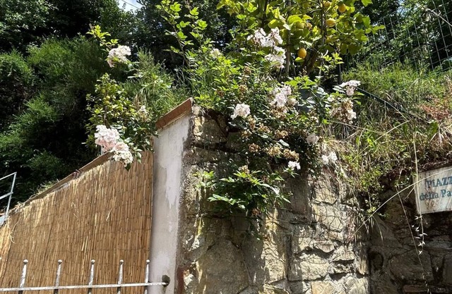 Vacanze toscane relax e privacy