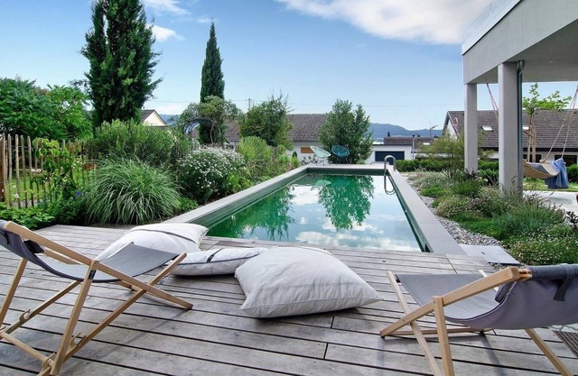 Vacation apartment/apartment for 3 guests with 55m² in Bodman-Ludwigshafen (172387)