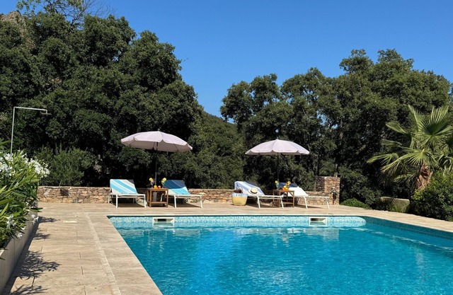 Vacation apartment with large pool in the hills of the bay of St. Tropez