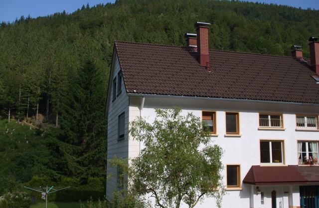 Vacation apartment/apartment for 4 guests with 50m² in Todtnau (157261)