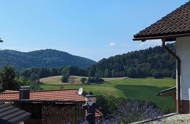 Vacation apartment with a fantastic view in a quiet location!