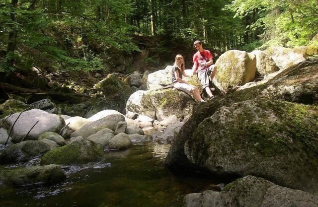 Holiday apartment Dreisessel (43qm) with two bedrooms, two shower+toilet and kitchen