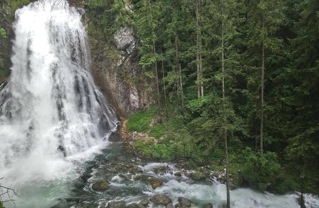 Apartamento "Feichtenstein" 2-4Personen - Granja orgánica Vorderbärnau