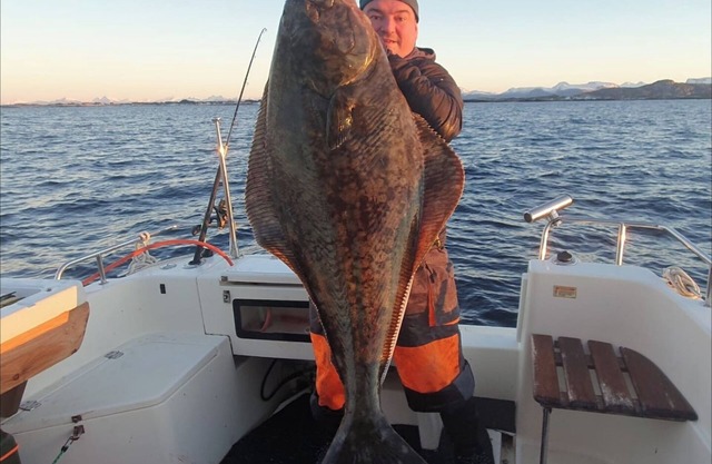 Vacation apartment with sea view for your guided fishing vacation.