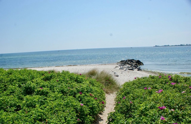 Apartamento / app. para 3 personas con 40m² en Fehmarn OT Fehmarnsund (126503)