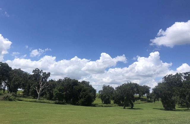 Vacation home close to Orlando & Tampa