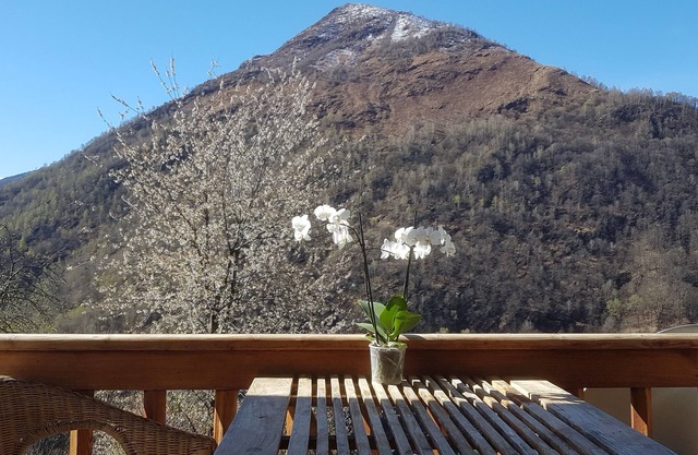Vacation home for 3 guests with 60m² in Orasso (128002)