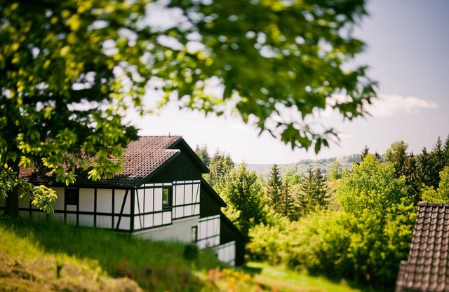Vacation home for 7 guests with 95m² in Daun (127706)