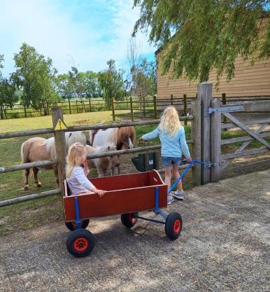 Vacation Home Mechelhof