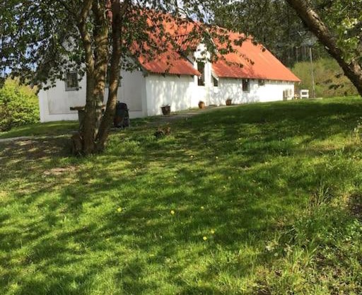 Vacation home on the Half island Helgenæs