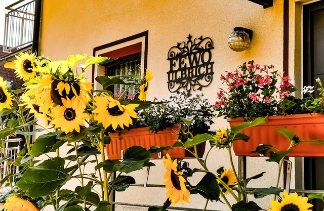 Casa de vacaciones "Ulbrich" con terraza privada, balcón y Wi-Fi