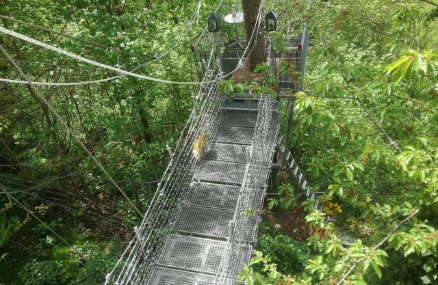 Vacation in the treetops