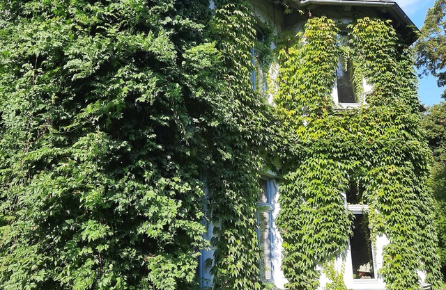 Vacations at the Gutshof Alt-Pannekow (with spa area)-Dogs welcome (max. 4P)