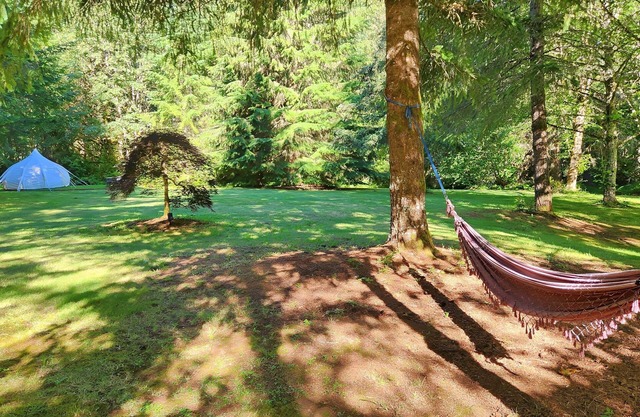 Ceremonies, Weddings, Retreats for Small & Medium Groups with Pets