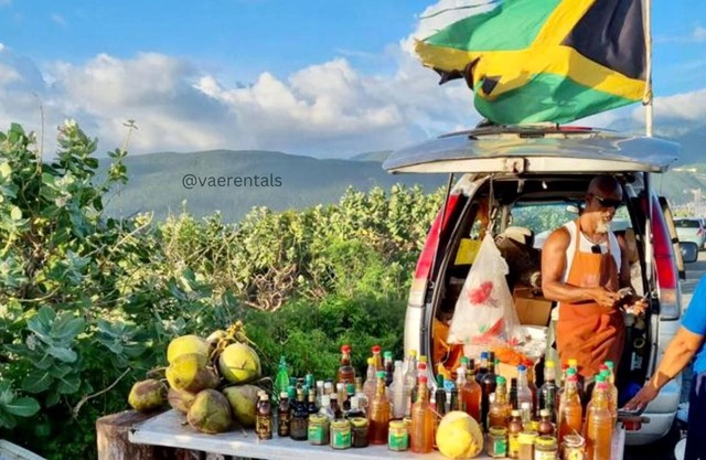 Vaetropicalparadise Free Puerto Seco Beach Access