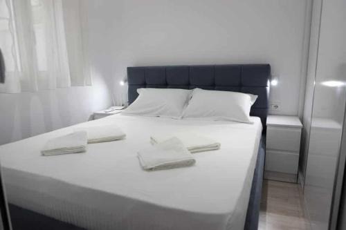 Vaip house
