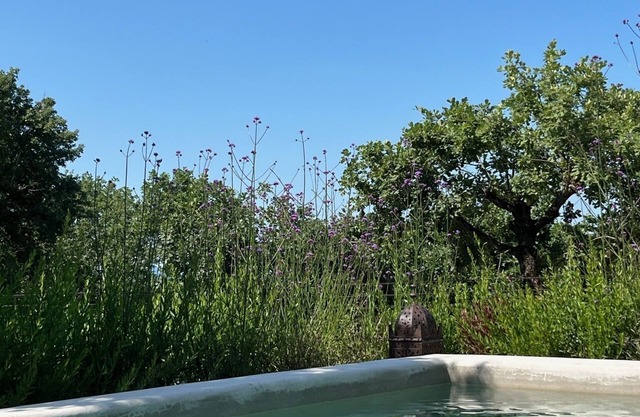 Vakantie Appartement met 3 Slaapkamers in de Heuvels Rond Lago Trasimeno