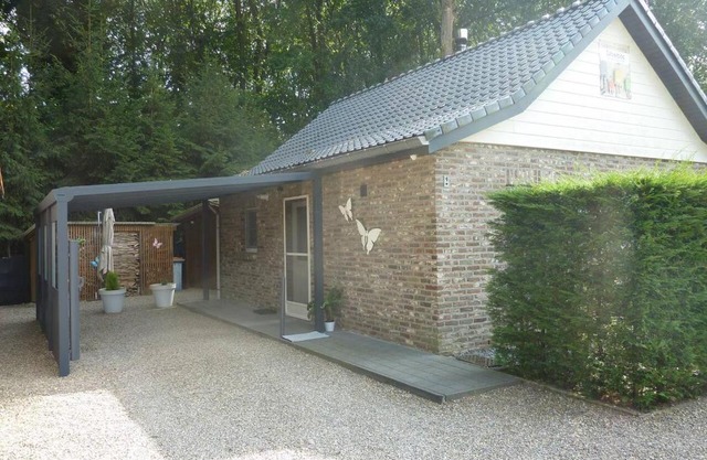 vakantie woning Dilserbos
