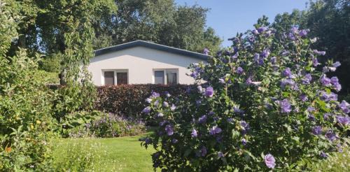 Vakantiebungalow Texel