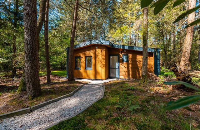 Vakantiepark De Wiltzangh - Cube Split 6