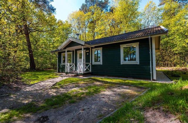Vakantiepark De Wiltzangh - Fins Chalet 6