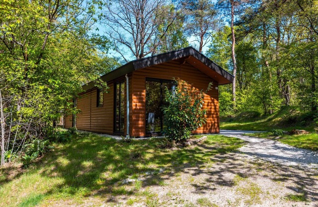 Vakantiepark De Wiltzangh - Wellness Lodge Wood XL