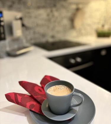Vartiomaja - beautiful apartment near Arktikum