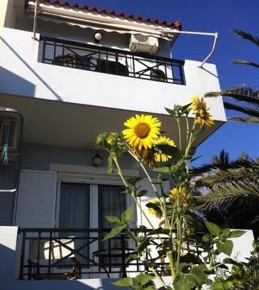 Vasila seaview