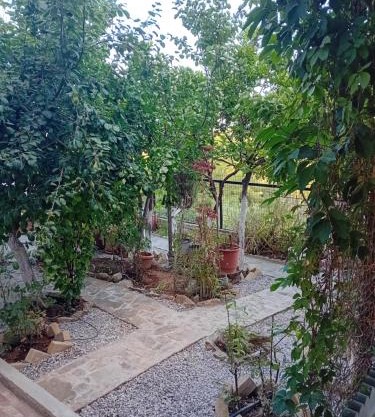 Vasiliki