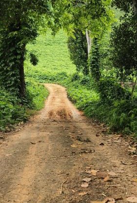 Vasudha Eco Homestay