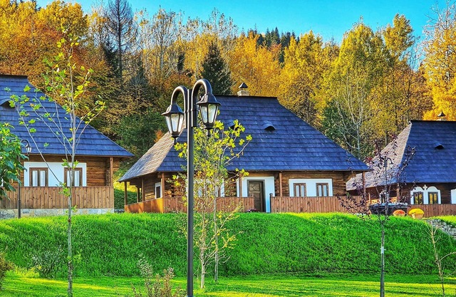 Vatra Boiereasca