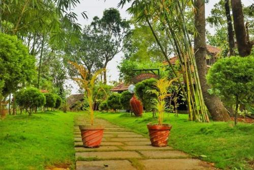 Vattakkuny Wild Orchid Resorts
