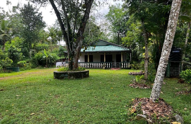 Vegan Nature Resort