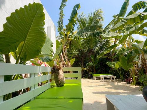 Veli garden thoddoo