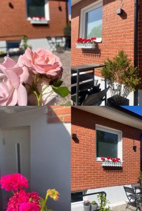 Vellinge Nest