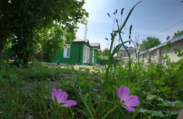 Vendam Home
