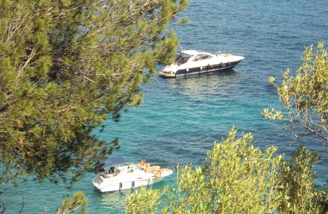 Ventimiglia: Casa / villa / chalet - Vintimille