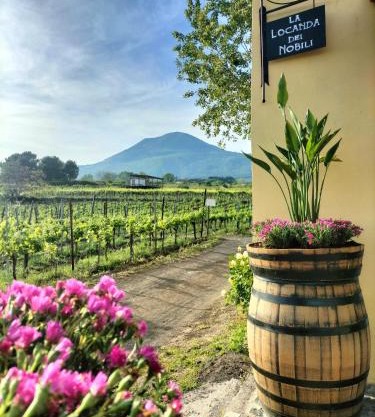 Vesuvio Inn Guest House e Wine Experience