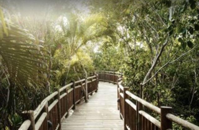 Vidanta Property Grand Luxxe Master Suite 2 habitaciones, 2 baños