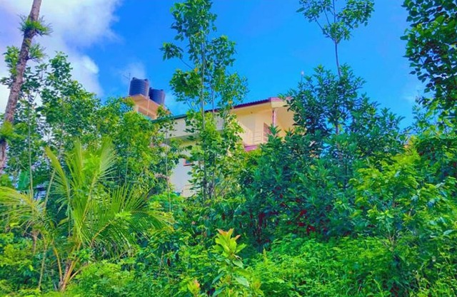 View point homestay Coorg !!