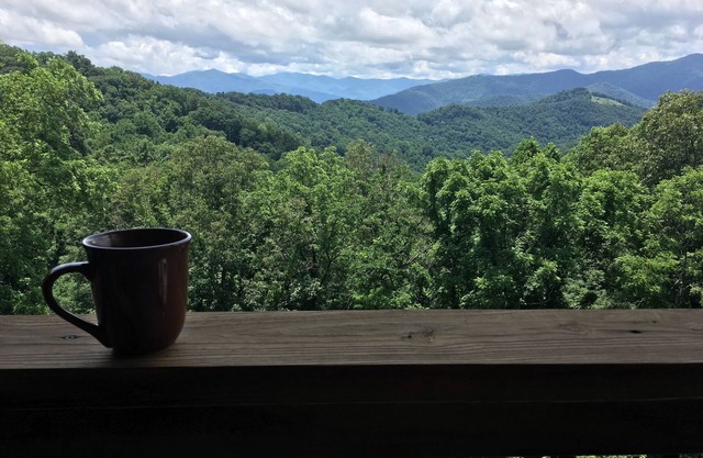 3600 Elevation Luxury Treetop Tuckaway Cabin March Specials