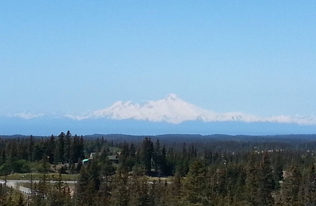 Vistas del océano y las montañas Homer Alaska