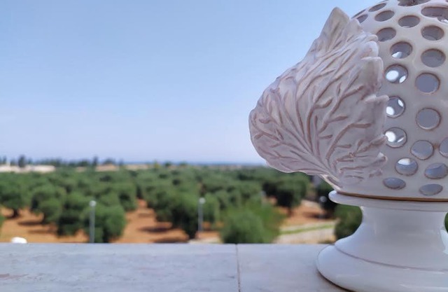 Vigna Marina Hotel