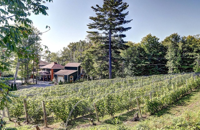 Vignoble du Domaine des 3 Moulins à 20 Min. de Qc