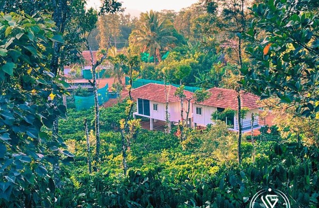 ViGo Homes