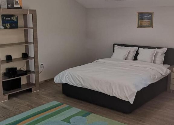 Viking Apartment Grigo