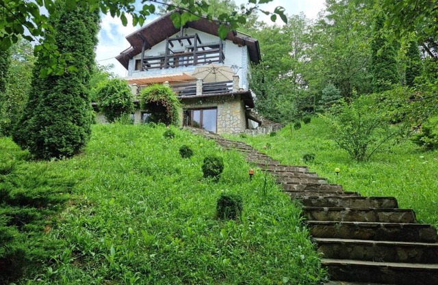 VILA GIGI, ideala pentru relaxare si distractie!