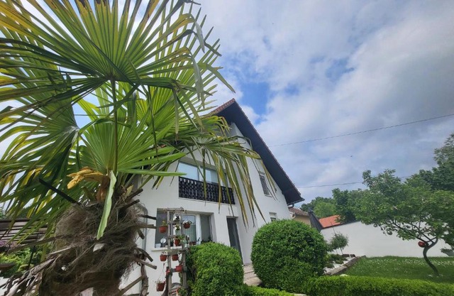 Vila Jovana