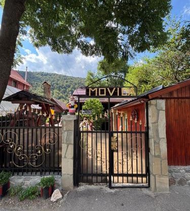 Vila Movilă