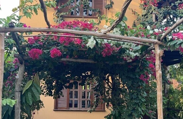 Vila Ypáwa Inn - Lago Verde Room